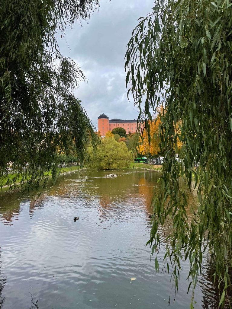 Uppsalský hrad