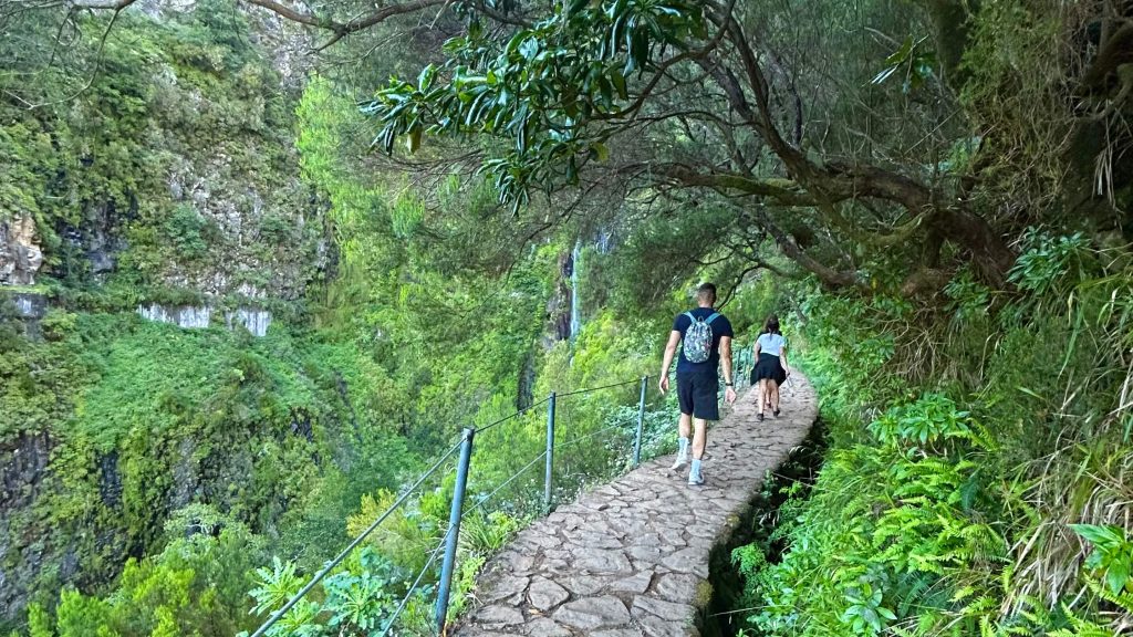 PR6 Levada das 25 Fontes / Levada do Risco
