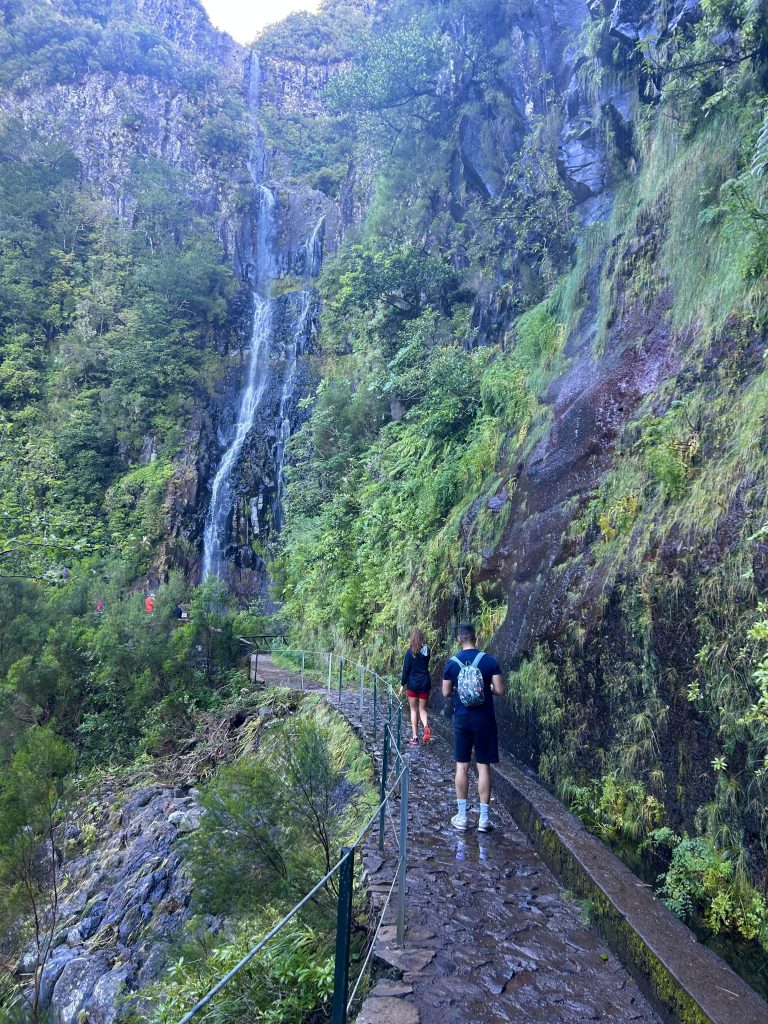 PR6 Levada das 25 Fontes / Levada do Risco