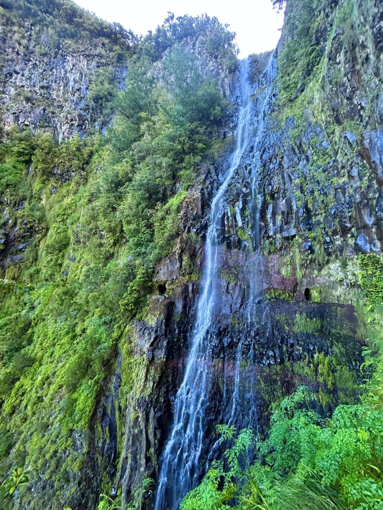 PR6 Levada das 25 Fontes / Levada do Risco