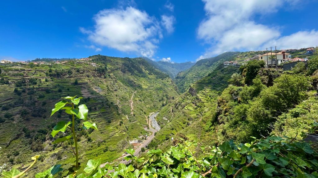 Levada do Moinho - Levada Nova