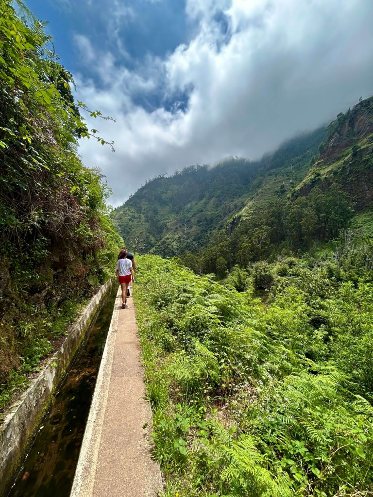 Levada do Moinho - Levada Nova