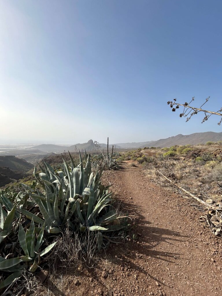 Barranco de las Vacas