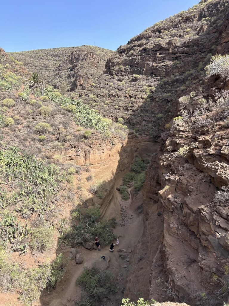 Barranco de las Vacas