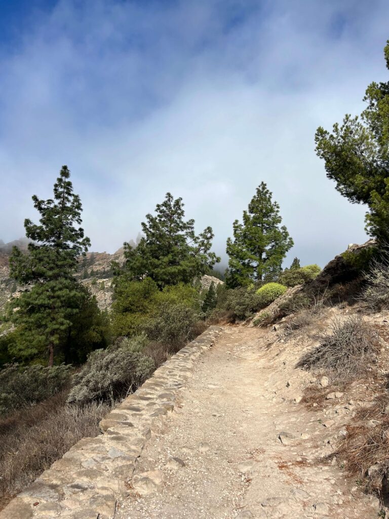 Roque Nublo