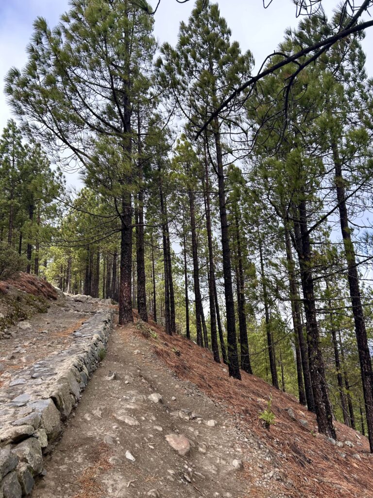 Roque Nublo