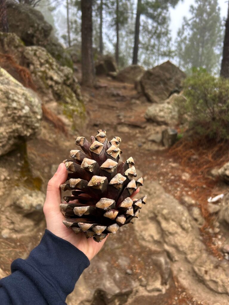 Roque Nublo