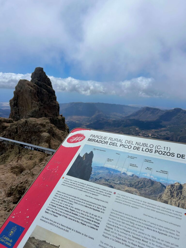 Pico de las Nieves