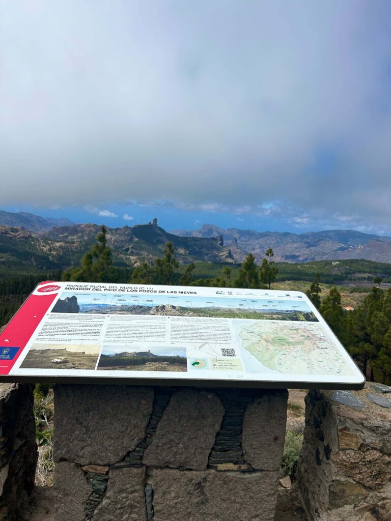 Pico de las Nieves